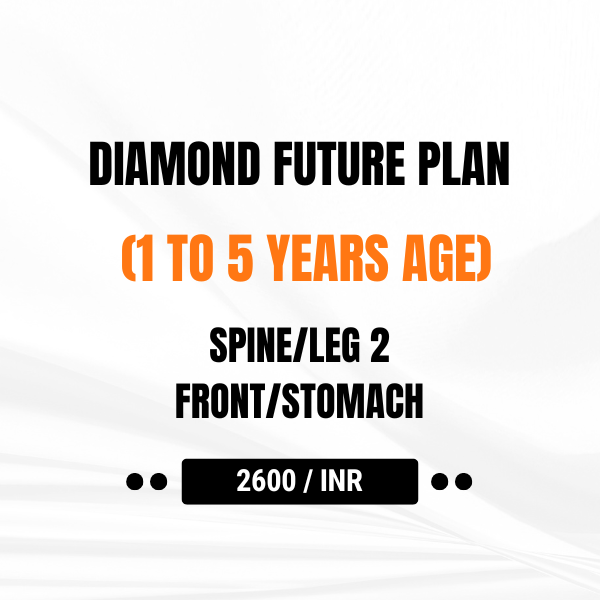 DIAMOND FUTURE PLAN